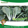 Suntoday vegetable hs code vegetable heirloom harvester pakchoy improve fruithigh times fruit seedlings for sale seeds(37001)